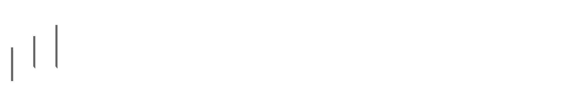 Estein USA Logo